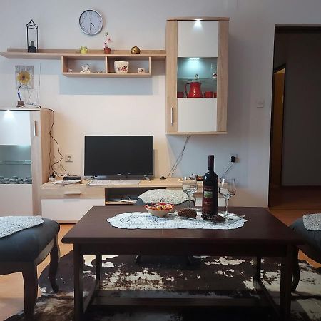 Apartman Skender 3* Ravna Gora Daire Dış mekan fotoğraf