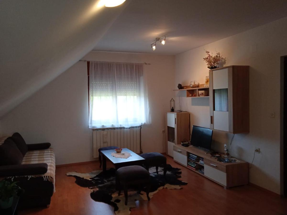Apartman Skender 3* Ravna Gora Daire Dış mekan fotoğraf