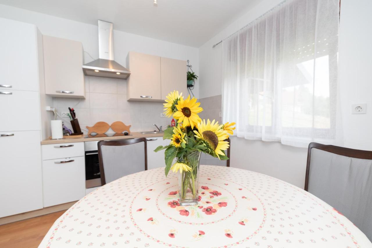 Apartman Skender 3* Ravna Gora Daire Dış mekan fotoğraf