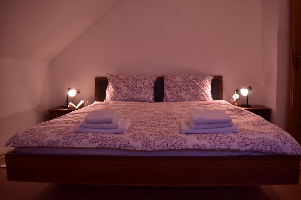 Apartman Skender 3* Ravna Gora Daire Dış mekan fotoğraf