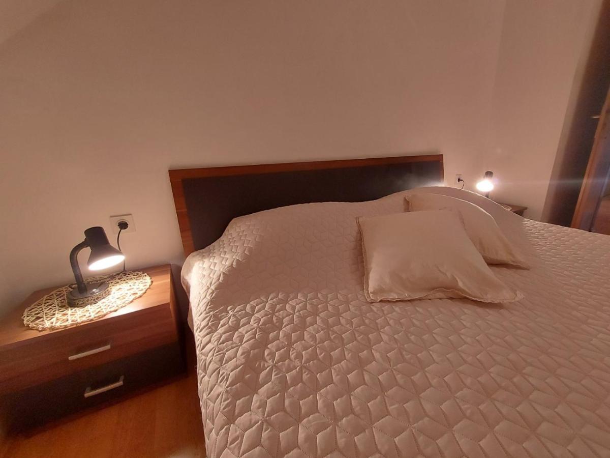 Apartman Skender 3* Ravna Gora Daire Dış mekan fotoğraf